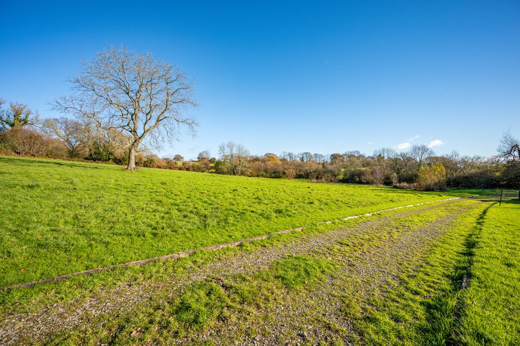 Grounds- click for photo gallery